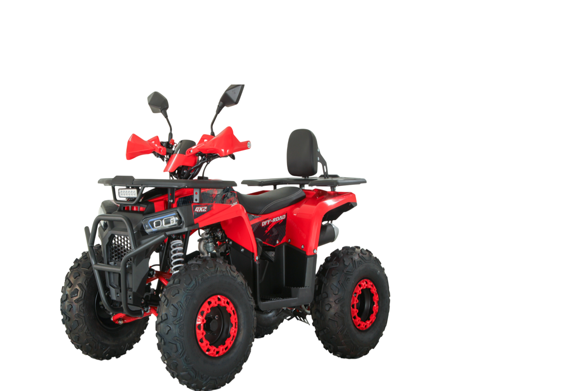 Большое поступление квадроциклов!