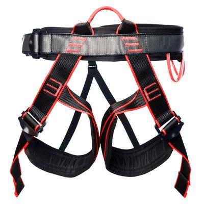 Нижняя обвязка Kasa Dio