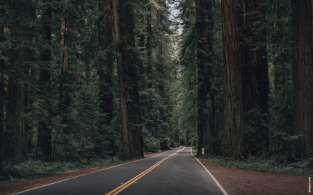 1675425965_gas-kvas-com-p-fonovii-risunok-rabochego-stola-4k-2