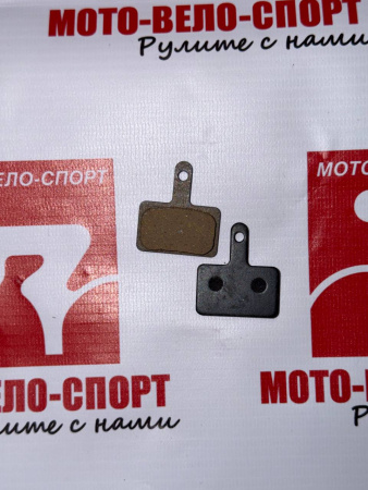 photo_2026-03-02_13-10-26