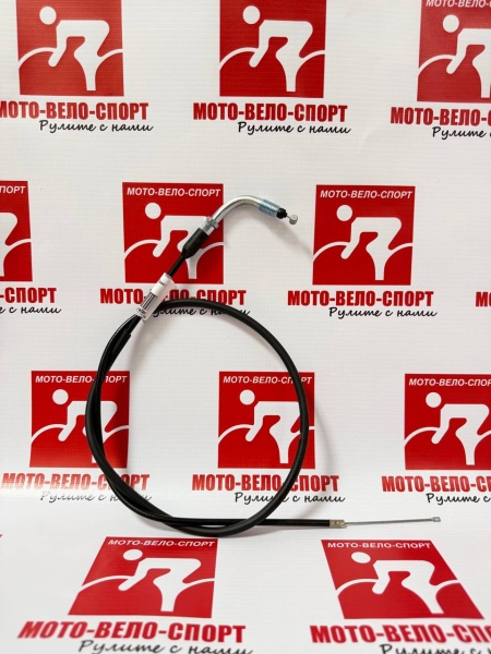 5366496692611517849 (1)