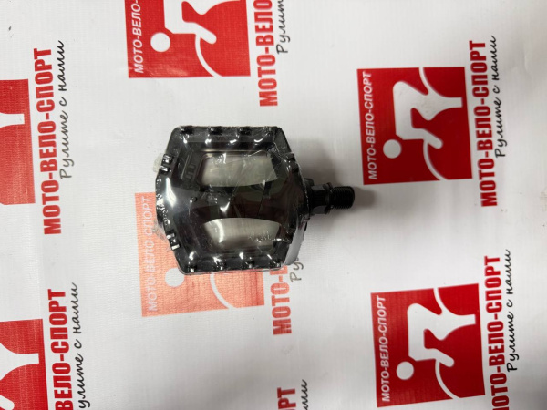 photo_2026-03-02_14-04-48