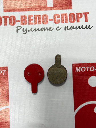 photo_2026-03-02_13-30-45