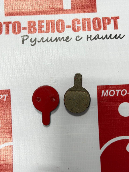 photo_2026-03-02_13-30-45