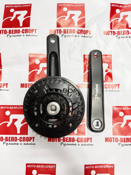 photo_2026-02-27_12-16-49